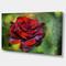 Designart - Red Rose on Green - Floral Canvas Art Print
